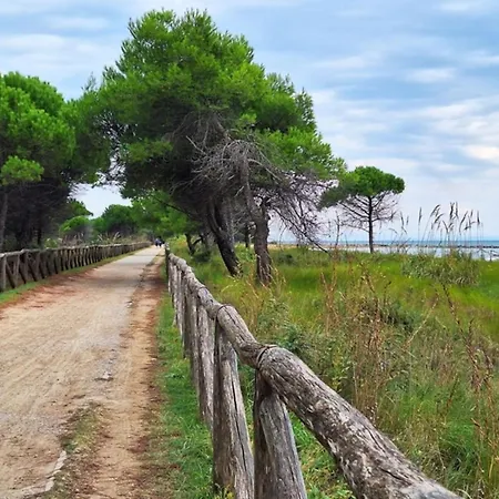 Apartment Comfortable Flat In